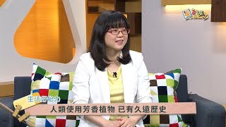 2019《福氣來了 生活好給力》EP55：來自大自然的寶物