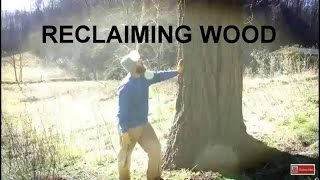 Reclaiming Wood