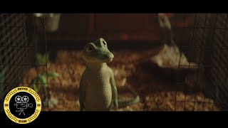 Lyle Lyle, Crocodile - First Meet With Lyle