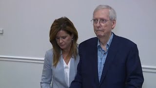 Senate Minority Leader Mitch McConnell appears to freeze in front of reporters in 2nd such incident