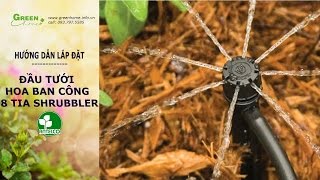 Hướng dẫn lắp đặt - ĐẦU TƯỚI HOA BAN CÔNG 8 TIA SHRUBBLER