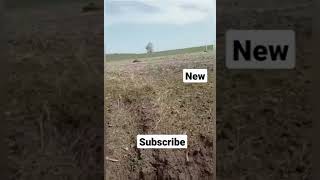 Ukrainian paratrooper destroying a Russian tank with a FGM-148 Javelin during the battle.