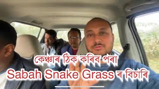 কেঞ্চাৰ ঠিক কৰিব পৰা Sabah Snake Grass সঁচ বিচাৰি দুৰ্লভ গগৈৰ ওচৰলৈ।#PRANJALGOGOI #PRANJALGOGOIVLOGS