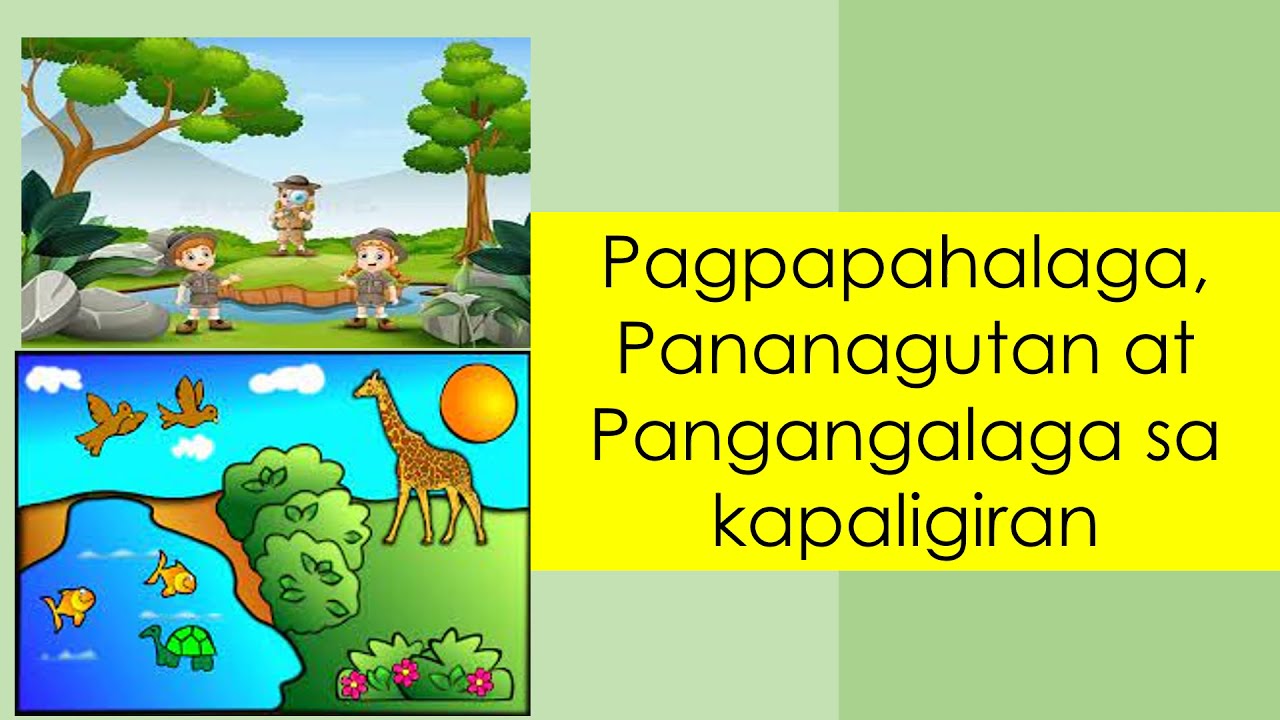 ESP6 PAGPAPAHALAGA ,PANANAGUTAN At PANGANGALAGA SA KAPALIGIRAN - YouTube