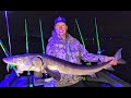 More big October St Croix Whisker fish! (Sturgeon and Catfish)