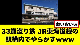 【33歳盗り鉄】JR東海道線の駅構内でやらかすwww