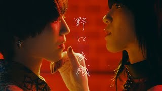 =LOVE 野口衣織 / 1st ALBUM収録『拝啓 貴方様』【MV full】（イコールラブ）