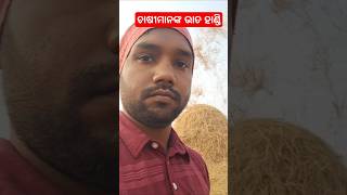 Khati khia loka khunti khanti khae 😂#odia #odiasong #shortvideo