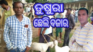 Tushura Goat Market ତୁଷୁରା ଛେଲି ବଜାର #marketpriceinfo #goat #goatmarketindia