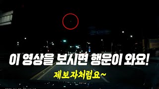 18824회. 운전 중 하늘에서 이런 행운이 내려왔습니다!