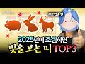 [🚨2025년 삼재띠 운세] 삼재 때 조심하면 대박 나는 띠는? | 금사빠 EP.26