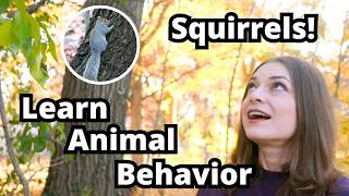 Animal Behavior in Your Backyard: Learn with Squirrels! 🐿️ | Wildlife Biology for Kids Club