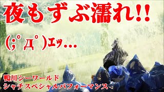 鴨川シーワールド2021シャチスペシャルパフォーマンス シャチショー 2021.12.18