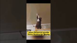 Evanukkum poruppu illa 🤣🤣#trendingshorts #trendingvideo #shorts #memes #viralvideo #comedy