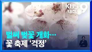 벌써 벚꽃 개화…꽃 축제 ‘걱정’ / KBS  2023.03.24.