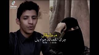 معشوقتي جر القصايد مواويل 💔