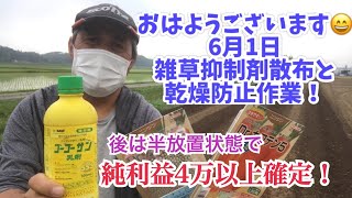 【雑草抑制剤】散布と【乾燥防止】籾殻と遮光ネット張り！のんびり一人農業田舎暮らし。明日は人工透析日😢