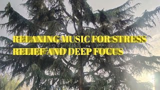 Relaxing Music for Stress Relief and Deep Focus