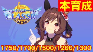 【ウマ娘】リーグオブヒーローズ祖父母因子完成編→チャンミクラシックジェンティルドンナ本育成！！【チャンピオンズミーティング阪神2400m】