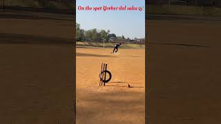 Yorker drill with tennis ball 🥎#cricket #practice #cricketshorts