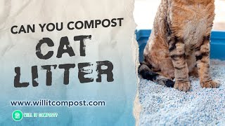 Can You Compost Cat Litter? Important Things to Consider