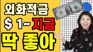 일달러부터 입금 가능한 달러통장 추천 !! 지금 시작하기 좋은 하나은행 외화예금통장 !!