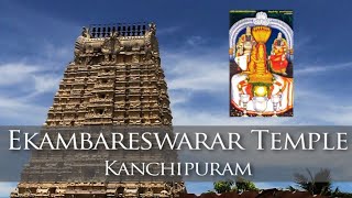 KanchipuramEkambareswarar Temple tour in Telugu | Pancha Bhoota Stalam | తమిళనాడు