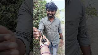 மாமா சூர பழம் பறிச்சிதா #viralvideo #vivasayee #vivasaye #agriculture #naturefrut