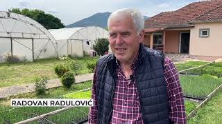 Za poljoprivredne kulture porodice Radulović iz sela Podkraj znaju kupci iz cijele Crne Gore