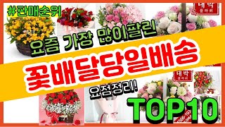 [광고]꽃배달당일배송 추천 판매순위 Top10 || 가격 평점 후기 비교