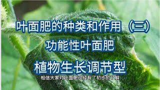 叶面肥种类和作用三功能性叶面肥，植物生长调节型