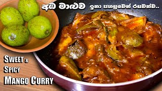 Sri Lankan MANGO CURRY 🥭 | අඹ මාළුව ගමේ රසට හදමුද?