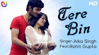 Tere Bin - Full Song | Alka Singh ft. Rohit Gupta | New Hindi Song 2014
