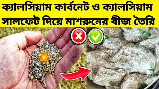 বাড়িতে মাশরুম স্প্যান/বীজ কীভাবে তৈরি করবেন ক্যালসিয়াম কার্বনেট ওক্যালসিয়াম সালফেট বা জিপসাম দিয়ে