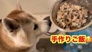 柴犬貴教16才！ノリたんの手作りご飯！