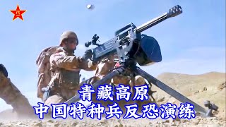 海拔4千米多武器打击，直击中国特种部队反恐歼灭演练/At an altitude of 4000m, CN special forces conduct anti-terrorism drills