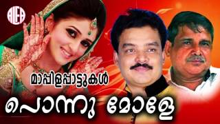 പൊന്നുമോളെ  | Ponnumole | M.A Gafoor | Malayalam Mappilapattukal | Mappila Song