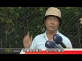 天外天新聞1050530 16焚化廠植物園 成蝴蝶樂園