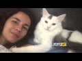 Woman asks for help finding missing cat