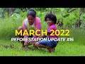 March 2022 | Reforestation Updates | One Tree Planted