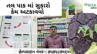 તલ માં સુકારો અટકવવા શું કરશો???