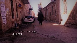 עמינדב דביר - נחלאות