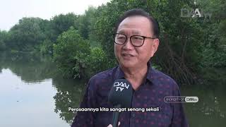 Direksi Panca Budi Group Berpartisipasi Dalam Penanaman Mangrove Nasional