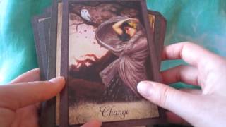 Vintage Wisdom Oracle Review