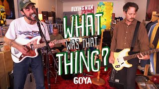 Goya perform Coreflute live At Flying Nun