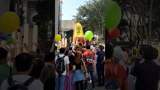 Gurudev Vanamaraj is doing Prayer to Lord Jagannath at Paulista Avenue Saopaulo 🇧🇷 #rathayatra