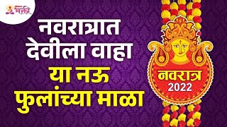 नवरात्रीत देवीला कोणत्या फुलांच्या माळा वाहाव्यात? Which flower use to Goddess during Navratri2022