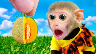 🐵Baby Monkey Bi Bon helps dad washes clothes and harvests fruits | Funny Animals Home Videos