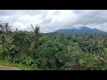 rindik bali nada tradisi menyempurnakan hari cocok untuk acara resepsi recorded with a drone