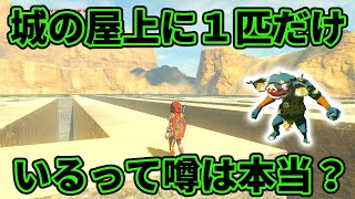 【ゼルダの伝説】予想外！広いローメイ城の屋上にボコブリンが１匹だけいるって噂は本当？【実況プレイ】ブレスオブザワイルド Nintendo Switch Part338